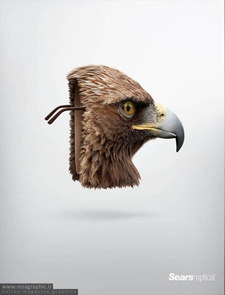 عقاب - Sears Optical: Eagle | رضاگرافیک